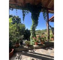 Einfamilienhaus mit Terrasse und Garten in Wolfhagen-Kernstadt