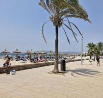 Ciudat Jardin -Palma - Penthouse Vermietung - München Altstadt-Lehel