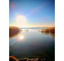 Nachmieter 3-RW in 17166 Bristow ab 06.2026 - Teterow