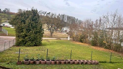 Foto - Dombühl b. Ansbach Baugrundstück Miete privat oder gewerblich