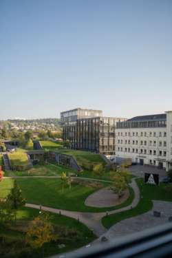 Foto - andere in Karlsruhe zur Miete