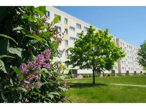 Foto - 2 Zimmer Etagenwohnung zur Miete in Salzwedel