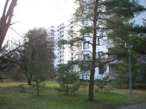 Foto - Grundsanierte helle 3 Zimmer Wohnung von privat in Griesheim