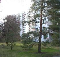 Grundsanierte helle 3 Zimmer Wohnung von privat in Griesheim - Darmstadt Darmstadt-Nord
