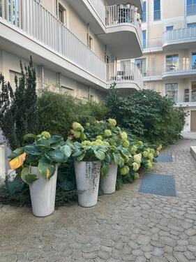 Foto - 3 Zimmer Etagenwohnung zum Kaufen in München