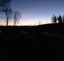 7800 qm Wald-Grundstück mit 2 Gebäuden - Tambach-Dietharz