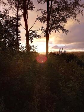Foto - Einfamilienhaus zum Kaufen in Tambach-Dietharz