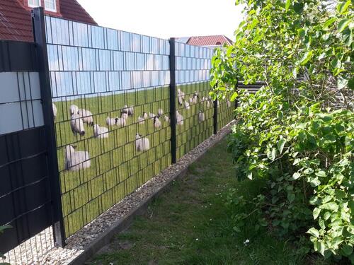 Foto - andere in Großheide