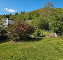 3 Zimmer Wohnung mit grossen Garten und Garage zu vermieten. - Gailingen am Hochrhein