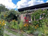 Foto - Garten zur Pacht im Heideblick Radeberg