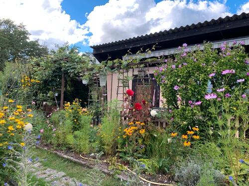 Foto - Garten zur Pacht im Heideblick Radeberg