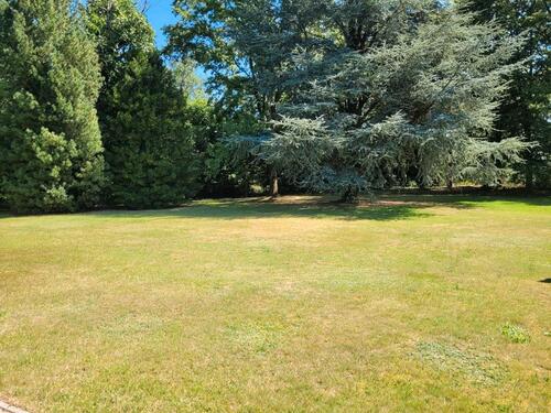 Foto - Grundst&uuml;ck in Bücken