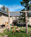 Foto - Resthof, 3Familienhaus, Fast Alleinlage- sofort bewohnbar