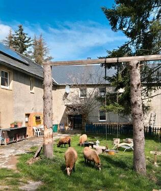 Foto - Resthof, 3Familienhaus, Fast Alleinlage- sofort bewohnbar