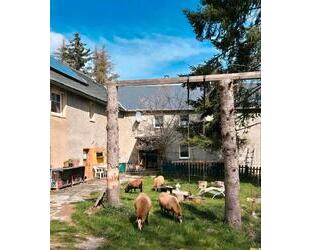 Resthof, 3Familien oder 3- 4 Ferienwohnungen im Museumort ! - Gefell