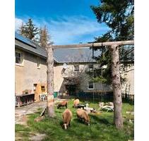 Resthof, 3Familienhaus, Fast Alleinlage- sofort bewohnbar - Gefell