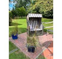 Ferienwohnung Ostfriesland Urlaub Ferienhaus mit Hund - Ostrhauderfehn