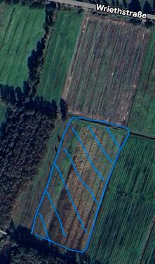 Foto - Grünland in Kleinwörden zu verpachten