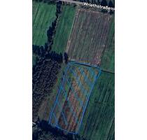 Grünland in Kleinwörden zu verpachten - Hemmoor