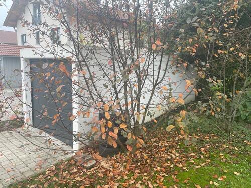 Foto - andere zur Miete in Schechen