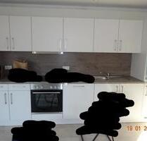 Wohnung Hochdonn (Dithmarschen) ~ Neubau ~ 3 Zimmer ~ 77qm ~ EG - Burg (Dithmarschen)