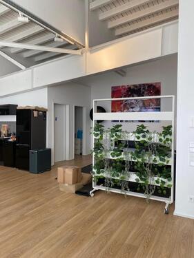 Foto - Etagenwohnung in Düsseldorf zur Miete