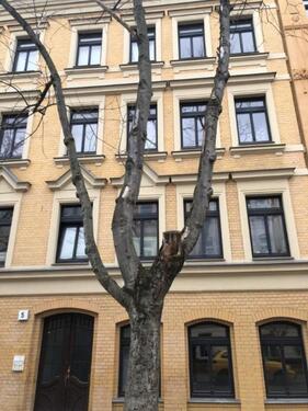 Foto - Top geschnittene 2 Zimmer Wohnung mit Terasse in der Innenstadt.