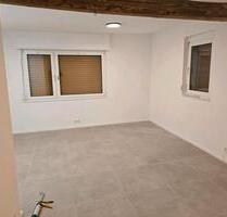 1.Zi.WohnungBüro mit kochnische,WohnenSchlafen,BadWC - Weilrod