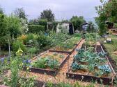 Foto - Garten in Coschütz - 900,00 EUR Kaltmiete, ca.  0,00 m²