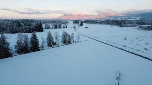 Foto - Wald und Mooswiese 76587m² - 10,00&nbsp;EUR Kaltmiete, ca.&nbsp; 0,00&nbsp;m&sup2;