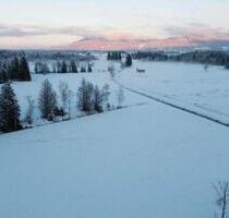 Wald und Mooswiese 76587m² - 10,00&nbsp;EUR Kaltmiete, ca.&nbsp; 0,00&nbsp;m&sup2; in Habach (PLZ: 82392)