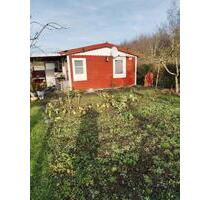 Gepflegter Kleingarten in Emden-Harsweg abzugeben