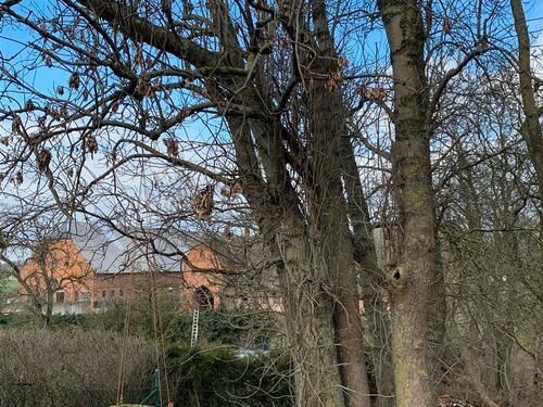 Foto - Im Mischgebiet - Viele neue Nutzmöglichkeiten - Denkmalgeschützt