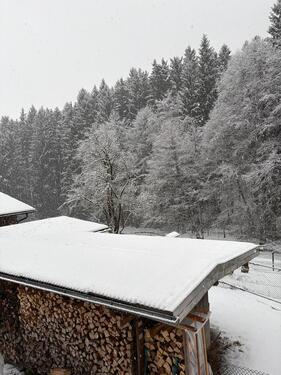 Foto - andere in München zur Miete