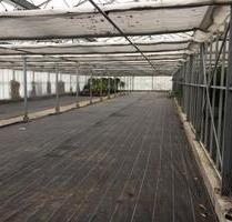 Lagerfläche, Unterstellmöglichkeit Großraum Dachau - Bergkirchen