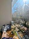 Foto - andere in Berlin