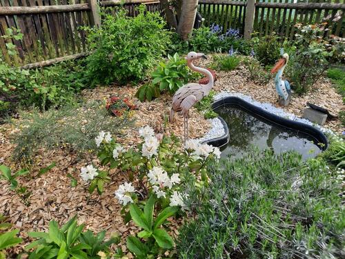 Foto - Grundst&uuml;ck in Gera zur Miete