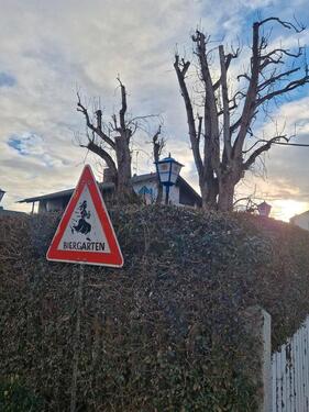 Foto - andere zur Miete in Seefeld