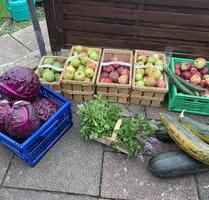 Hochbeet in Kleingartenanlage zu Mieten (KGV Finkenhain) - Salzgitter Ortschaft Südost