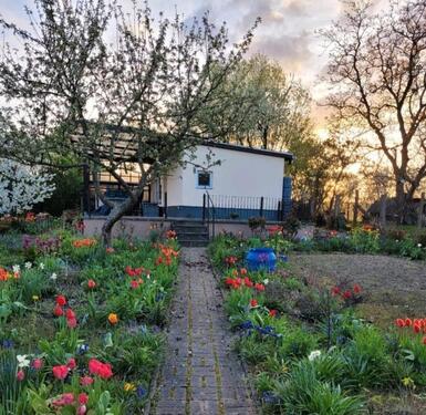 Foto - Bungalow auf Eigentumsland auf dem Land Alt Meteln