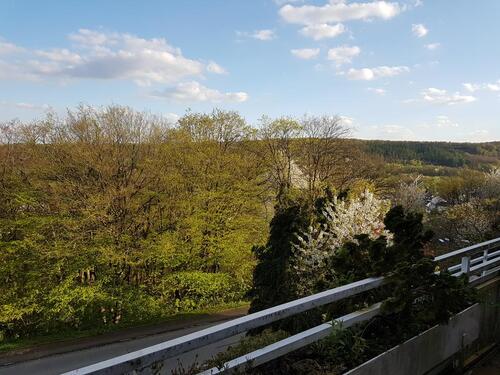Foto - Großzügige, ruhige, sonnige Eigentumswohnung mit großem Balkon
