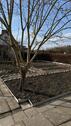 Foto - Schrebergarten Lehndorf Bs - 2.800,00&nbsp;EUR Kaltmiete, ca.&nbsp; 0,00&nbsp;m&sup2;