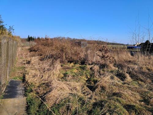 Foto - Grundst&uuml;ck in Erxleben