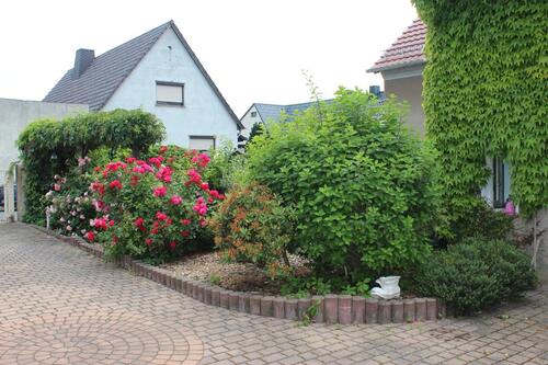 Foto - Einfamilienhaus in Mühlberg/Elbe