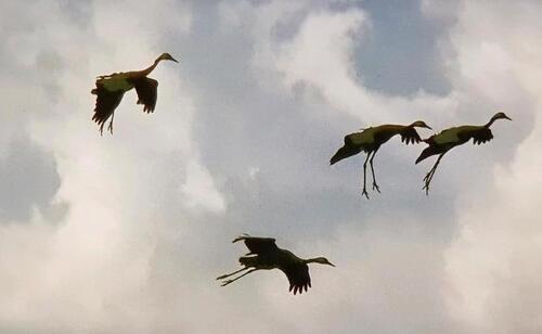 Foto - andere zur Miete in Zingst