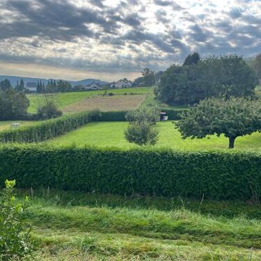 Foto - 2000 qm Streuobstwiese in Greifenstein zu verpachten