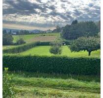 2000 qm Streuobstwiese in Greifenstein zu verpachten