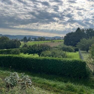 Foto - Grundst&uuml;ck zur Miete in Greifenstein