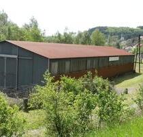 Lagerhalle, Produktionshalle - 1.000,00 EUR Kaltmiete, in Offenbach-Hundheim (PLZ: 67749)