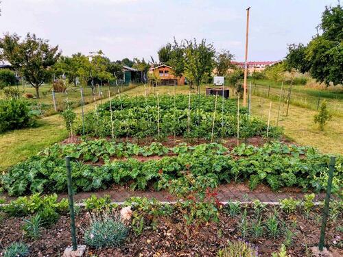 Foto - Grundst&uuml;ck in Giesen